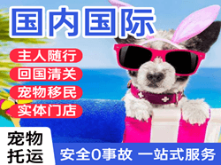 惠州航空空运国际宠物托运 【国